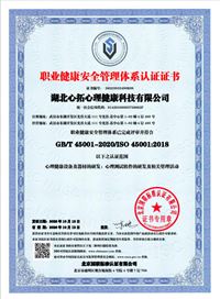 職業(yè)健康安全管理體系認(rèn)證證書